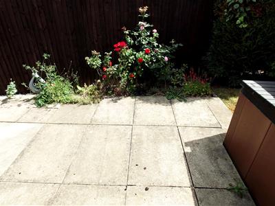 Picture 13